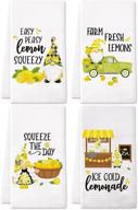 vansolinne farmhouse absorbent accessories lemonade logo