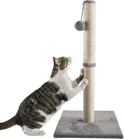 img 4 attached to 🐱 Enhanced Cat Scratching Post: Qucey 32 Inches Tall with Sisal Rope, Cat Claw Scratcher and Interactive Plush Ball Toy