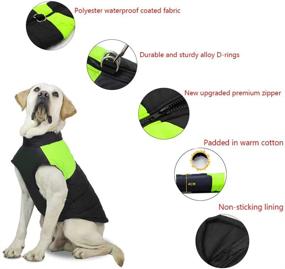 img 2 attached to FEimaX Dog Coat: Waterproof Winter Warm Jacket for Dogs - Windproof Apparel for Cold Weather, Padded Harness included