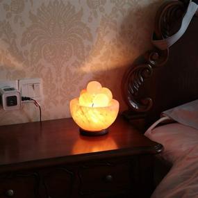 img 2 attached to Pursalt Himalayan Pink Salt Lamp Bowl: Natural Crystal Rock Table Lamp with Heated Massage Balls - Ideal Home Gift from Pakistan