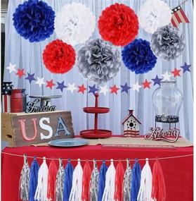 img 2 attached to 🎉 30-Piece Blue Red Silver Pom Pom Flowers Party Decorations- Hanging Tissue Paper Pom Poms flowers- Hanging Swirls Garland Tassel- Patriotic Party Supplies