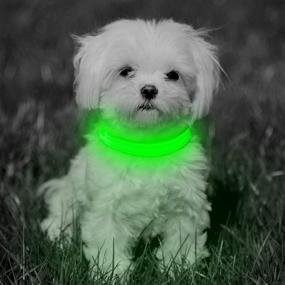 img 2 attached to 🐕 BSEEN LED Dog Collar: Illuminated, Reflective and Adjustable - Ultimate Visibility for Your Dog's Safety