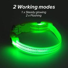 img 1 attached to 🐕 BSEEN LED Dog Collar: Illuminated, Reflective and Adjustable - Ultimate Visibility for Your Dog's Safety