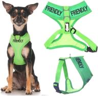 🐾 dexil limited - friendly green color coded non-pull front and back d ring padded waterproof dog harness with advanced accident prevention alert логотип