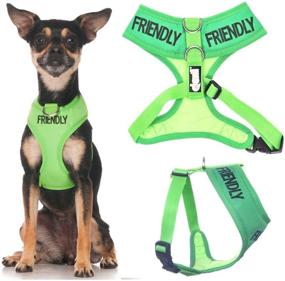 img 4 attached to 🐾 Dexil Limited - Friendly Green Color Coded Non-Pull Front and Back D Ring Padded Waterproof Dog Harness with Advanced Accident Prevention Alert