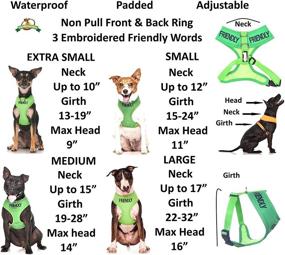 img 2 attached to 🐾 Dexil Limited - Friendly Green Color Coded Non-Pull Front and Back D Ring Padded Waterproof Dog Harness with Advanced Accident Prevention Alert