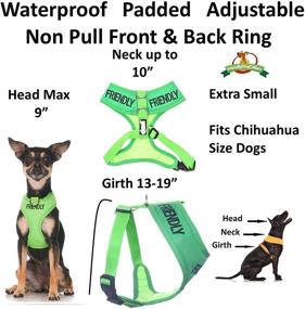 img 3 attached to 🐾 Dexil Limited - Friendly Green Color Coded Non-Pull Front and Back D Ring Padded Waterproof Dog Harness with Advanced Accident Prevention Alert