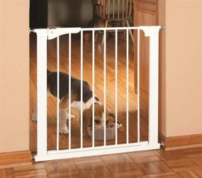 img 3 attached to 🚧 Command Pet Pressure Gate: Secure and Versatile, 29.5" H/29-32 W, White (PG5100)