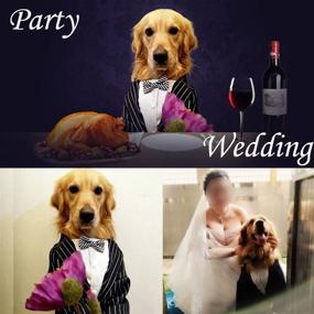 img 3 attached to 🐶 Bolbove Stylish Tuxedo Suit with Striped Wedding Bow Tie for Medium to Large Dogs - Handsome Party Outfit