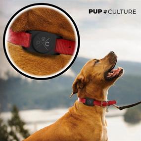 img 2 attached to Pup Culture Airtag Dog Collar Holder: Safeguard Your Dog with the Best Airtag Case for Collars