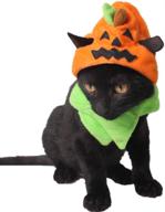 aniac pet halloween pumpkin hat: spook-tacular orange headwear with neckwear for cats логотип