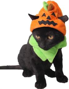 img 4 attached to ANIAC Pet Halloween Pumpkin Hat: Spook-tacular Orange Headwear with Neckwear for Cats