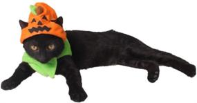 img 2 attached to ANIAC Pet Halloween Pumpkin Hat: Spook-tacular Orange Headwear with Neckwear for Cats