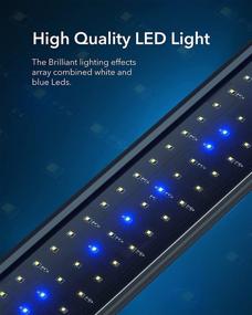 img 2 attached to 🐠 Honpal LED Aquarium Light: Extendable Brackets, White, Blue LEDs & Full Spectrum for Coral Plants and Freshwater Fish Tank (24-34 Inch)