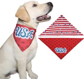 img 1 attached to Lamphyface Bandanas American Independence Reversible