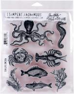 agcms304 art gone wild tim holtz sea life cling rubber stamp set - multi-colour, synthetic material - 24.5 x 18 x 0.6 cm logo