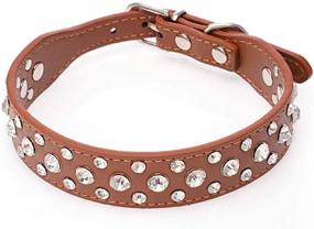 img 3 attached to 🐶 Avenpets Custom Leather Dog Collar for Small Dogs and Cats - Length: 10-24 Inches, Adorned with Crystal Rhinestone Bling