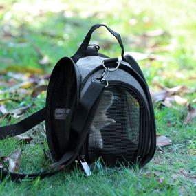 img 2 attached to Petsfit Small Animal Carrier Bag for Sugar Glider, Hedgehog, Tortoise, Gecko, Teacup Dogs, Birds, Baby Rat - Shoulder Strap, Mesh Window, Removable Mat, Side Pockets