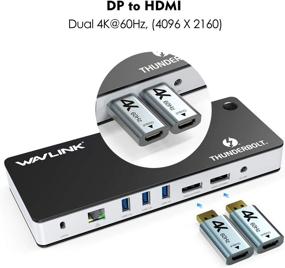 img 2 attached to 💻 WAVLINK Thunderbolt 3 Dock: Powerful 60W Charging, 8K@30Hz or Dual 4K@60Hz Video for MacBook Pro, Dell XPS 13/15, HP Spectre x360, Lenovo Yoga & More