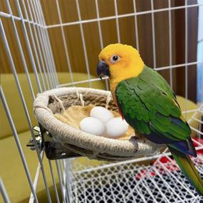 img 2 attached to Breeding Parakeet Handmade Cockatiel Lovebird