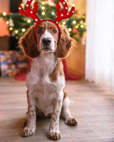 img 3 attached to Adorable Pack of 2 Dog Christmas Reindeer Antlers Headband: Perfect for Small Medium Dogs!