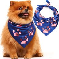 odi style american bandana small логотип