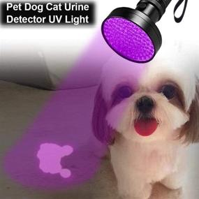 img 2 attached to High-powered UV Flashlight 100 LEDs for Pet 💡 Stain Inspection, Currency Detection, and Scorpion Hunting - Includes Sunglasses