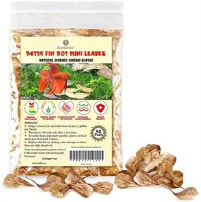 img 3 attached to 🌿 SunGrow Mini Catappa Leaves for Betta Aquariums: pH-Lowering & Stress-Reducing Aid for Fish, Shrimp, and Frogs | Native Habitat Creation | Unique, Practical Decoration | Pack of 50 Pieces