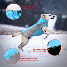 img 1 attached to Stay Warm and Dry with Didog Waterproof Dog Winter Coats 🐶 - Reflective Vest Jackets with Soft Fleece for Medium to Large Dogs