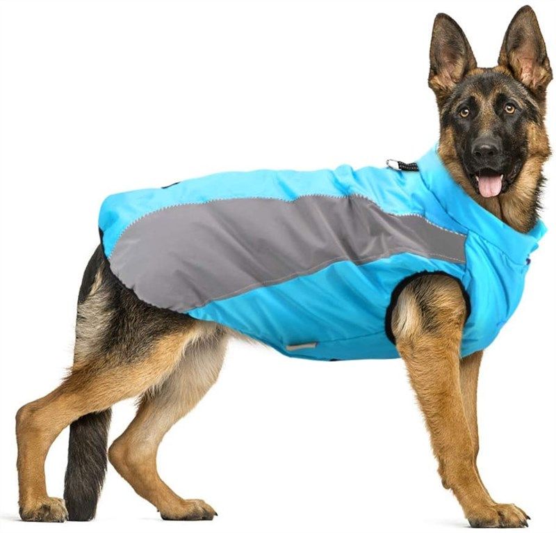 didog waterproof clothes reflective windproof 로고