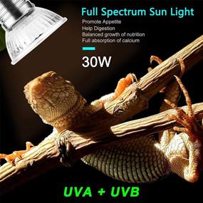 img 1 attached to 🦎 OMAYKEY 30W UVA + UVB Full Spectrum Sun Lamp for Reptiles & Amphibians - 6 Pack