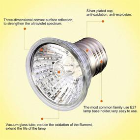img 2 attached to 🦎 OMAYKEY 30W UVA + UVB Full Spectrum Sun Lamp for Reptiles & Amphibians - 6 Pack