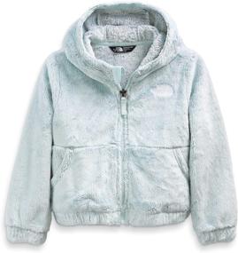 img 2 attached to North Face Toddler Osolita Hoodie: Premium Boys' Outerwear for Jackets & Coats