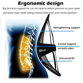 img 1 attached to 🪑 Double Layer Ergonomic Big Ant Lumbar Support - Comfort & Pain Relief for Car Seat, Office Chair, Wheelchair - Driver's Lumbar Support with Mesh Back