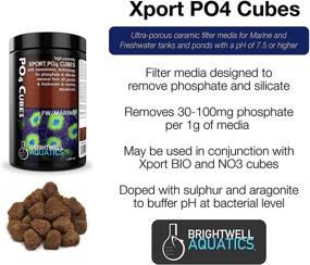 img 2 attached to Brightwell Aquatics Xport PO4 Cubes - High-Porosity Media for Efficient Phosphate & Silicate Removal in Pond, Freshwater & Marine Aquariums