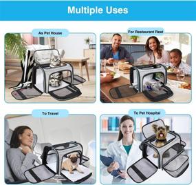 img 2 attached to 🐾 MASKEYON Airline Approved Portable Pet Carrier: Expandable Soft-Sided Large Cats Carrier with Removable Pads and 3 Pockets - Ideal for Traveling with Small Dogs and Puppies