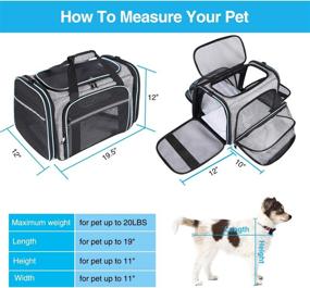 img 3 attached to 🐾 MASKEYON Airline Approved Portable Pet Carrier: Expandable Soft-Sided Large Cats Carrier with Removable Pads and 3 Pockets - Ideal for Traveling with Small Dogs and Puppies