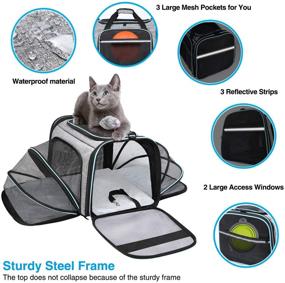 img 1 attached to 🐾 MASKEYON Airline Approved Portable Pet Carrier: Expandable Soft-Sided Large Cats Carrier with Removable Pads and 3 Pockets - Ideal for Traveling with Small Dogs and Puppies