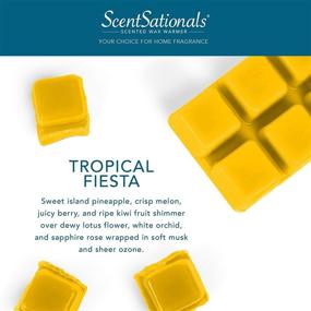 img 2 attached to 🌴 Scentsational Scented Wax Melts - Tropical Fiesta Fragrance Cubes - 2.5 oz (4-Pack) - Electric Home Warmer Tart, Wickless Candle Bar Air Freshener, Spa Aroma Decor Gift