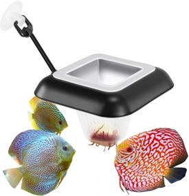 img 4 attached to 🐠 Fischuel Aquarium Feeding Ring: Floating Rings Food Feeder with Suction Cup for Fish Feeder with Blood Worms & Meal Worms