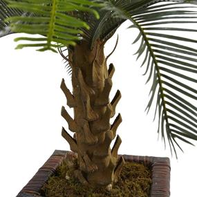 img 3 attached to Почти натуральная искусственная кашпо Cycas