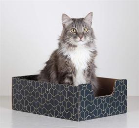 img 1 attached to 💙 Purrfect Cat Box in Lovely Blue: A Feline's Dream Retreat