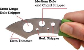 img 2 attached to 🌿 Microplane SwiftStrip Herb Stripper - Simplify Herb Preparation Effortlessly!