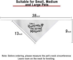 img 1 attached to Подарок на помолвку: панно для собаки для свадебной фотосессии, шарф для домашних животных, объявление и аксессуары для свадьбы моих хозяев.