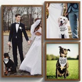 img 2 attached to Engagement Gift: Dog Bandana for Wedding Photo Prop, Pet Scarf, Announcement & Accessories for My Humans' Wedding