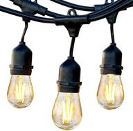 🌟 brightech ambience pro - waterproof led outdoor string lights with dimmable vintage edison bulbs - 24 ft commercial grade patio lights create cafe ambience - black логотип