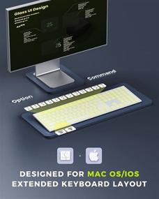 img 2 attached to 🔍 Беспроводная подсвечиваемая клавиатура seenda для Mac OS/iOS/iPad OS с подсветкой, ультратонкая и аккумулируемая, совместима с MacBook Pro/Air, iMac, Mac Mini, iPhone - Серебряный и Белый.