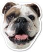 magnet america bulldog logo
