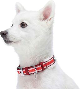 img 2 attached to 🐶 Blueberry Pet's 2021 Collection: Premium Sherpa Fleece Padded Dog Collars with Ultra Softness and Comfort, Exquisite Stripes or Argyle Designs for Sensitive Skin