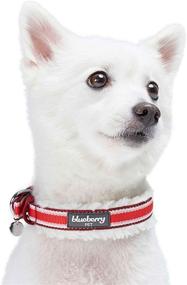 img 3 attached to 🐶 Blueberry Pet's 2021 Collection: Premium Sherpa Fleece Padded Dog Collars with Ultra Softness and Comfort, Exquisite Stripes or Argyle Designs for Sensitive Skin